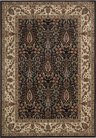 Nourison Persian Arts BD08 Black Area Rug main image