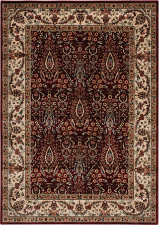 Nourison Persian Arts BD08 Burgundy Area Rug main image