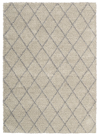 Nourison Brisbane BRI08 Ash Area Rug main image