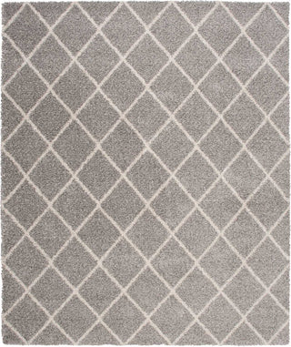 Nourison Brisbane BRI08 Ash Area Rug Main Image