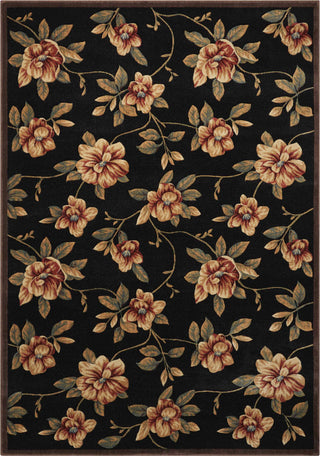 Nourison Cambridge CG08 Black Area Rug