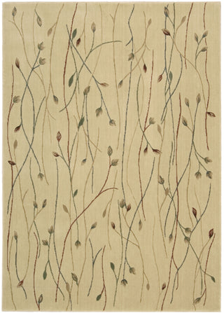 Nourison Cambridge CG04 Ivory Area Rug main image