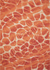 Nourison Coastal CSTL5 Orange Area Rug main image