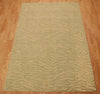 Nourison Cosmopolitan CS29 Beige Green Area Rug Main Image
