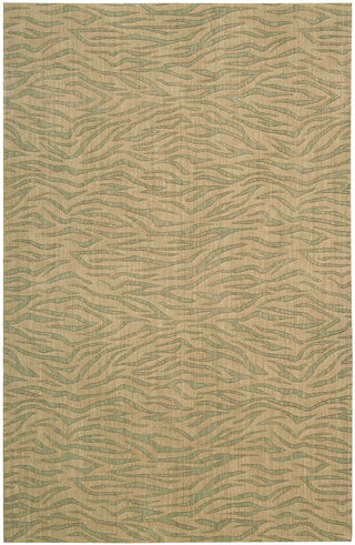 Nourison Cosmopolitan CS29 Beige Green Area Rug main image