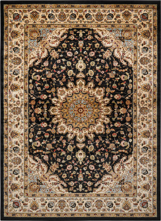 Nourison Delano DEL04 Black Area Rug 9' X 12'