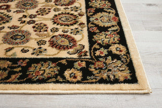 Nourison Delano DEL01 Ivory/Black Area Rug Detail Image