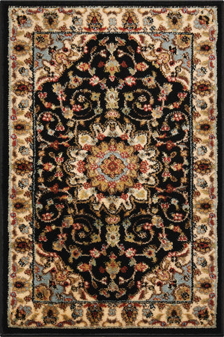 Nourison Delano DEL04 Black Area Rug 2' X 3'