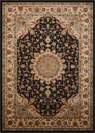 Nourison Delano DEL04 Black Area Rug main image