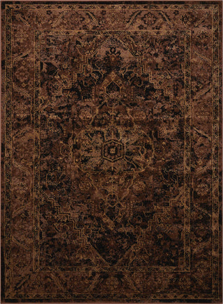 Nourison Delano DEL07 Espresso Area Rug main image