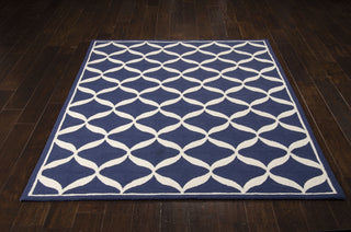 Nourison Decor DER06 Navy White Area Rug 5' X 7' Feature