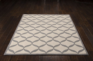 Nourison Decor DER06 White/Light Grey Area Rug 5' X 7' Feature