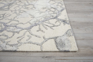 Nourison Divine DIV06 Ivory Area Rug Detail Image