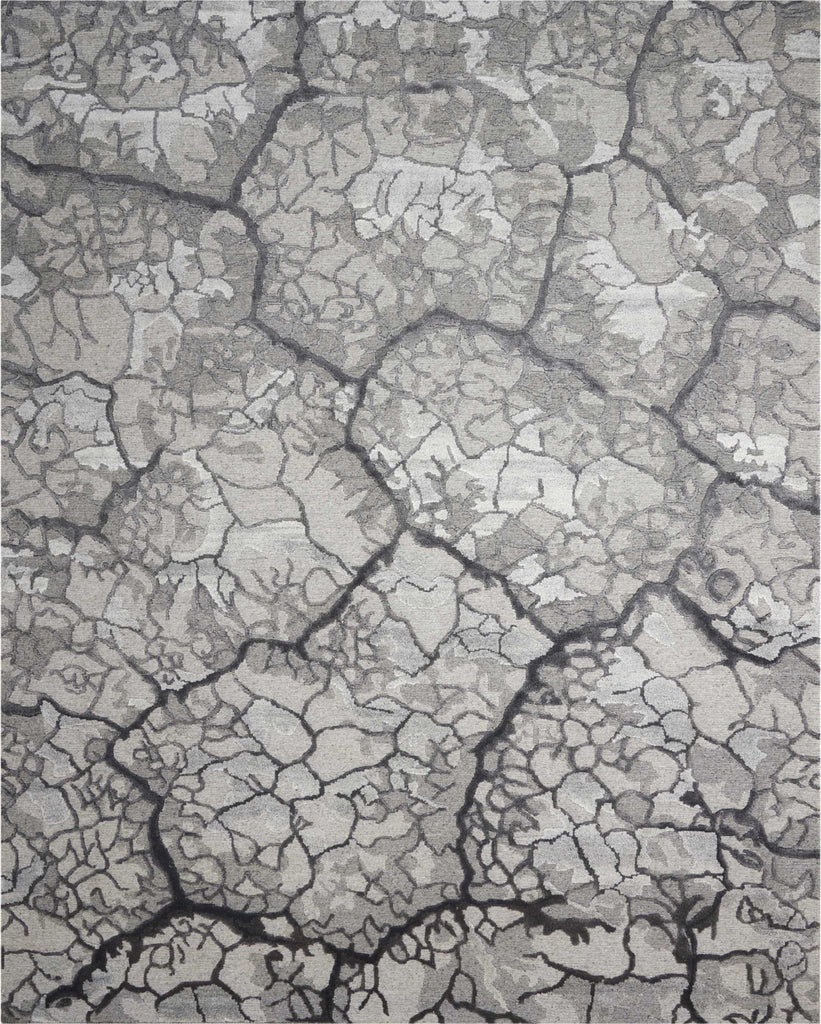 Nourison Divine DIV01 Charcoal Area Rug main image