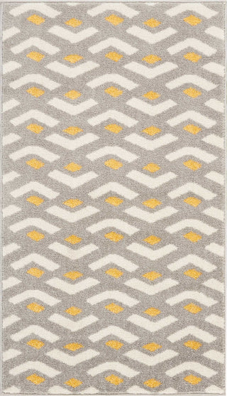 Dws03 Harper DS300 Grey Area Rug by Nourison 2'2'' X 3'9''