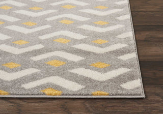 Dws03 Harper DS300 Grey Area Rug by Nourison Detail Image