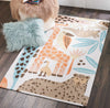 Nourison Dws04 Bailey DS400 Coral Area Rug Room Image