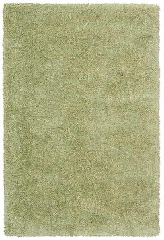 Nourison Escape ESCP1 Green Area Rug main image