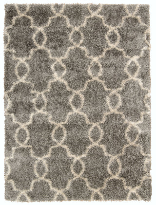 Nourison Escape ESCP2 Silver Area Rug main image