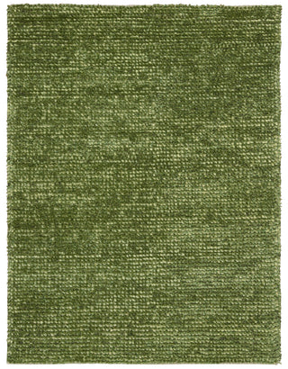 Nourison Fantasia FAN1 Green Area Rug main image