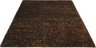 Nourison Fantasia FAN1 Brown Area Rug Main Image