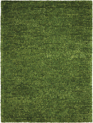 Nourison Fantasia FAN1 Green Area Rug 