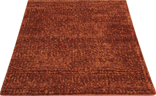 Nourison Fantasia FAN1 Rust Area Rug 