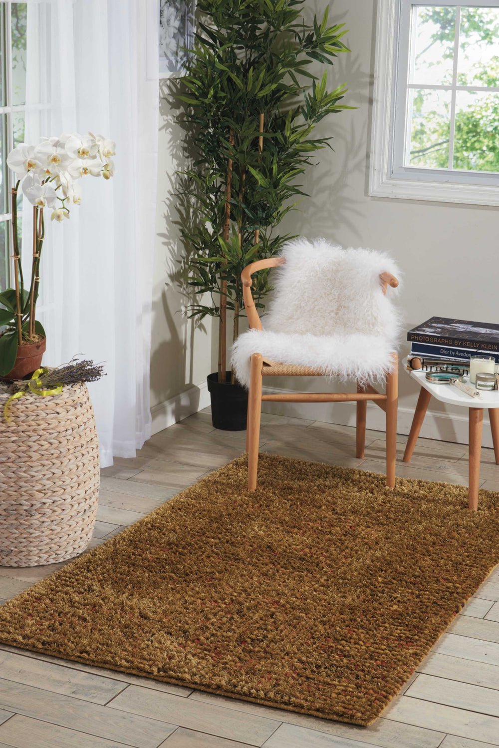 Nourison Fantasia FAN1 Terraco Area Rug Room Image Feature