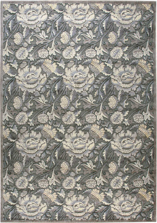 Nourison Graphic Illusions GIL10 Grey Area Rug Main Image