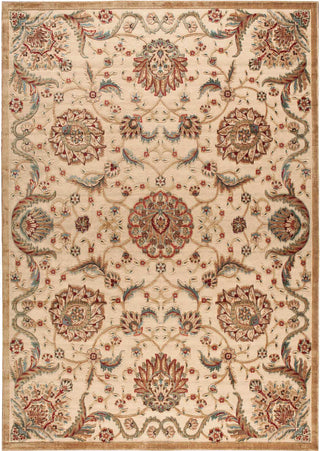 Nourison Graphic Illusions GIL17 Beige Area Rug Main Image