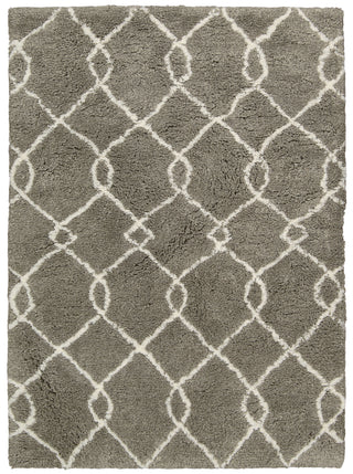 Nourison Galway GLW02 Mocha Ivory Area Rug main image