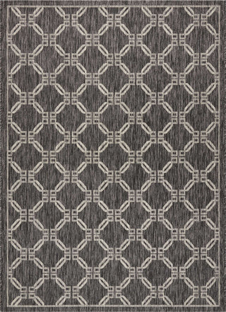 Nourison Garden Party GRD02 Charcoal Area Rug main image