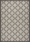 Nourison Garden Party GRD02 Ivory/Charcoal Area Rug main image