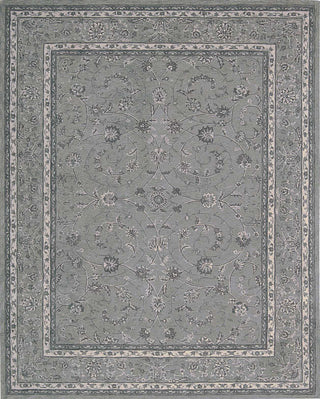 Nourison Heritage Hall HE29 Steel Area Rug Main Image