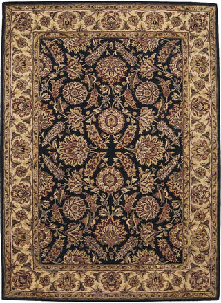 Nourison Jaipur JA15 Black Area Rug Main Image