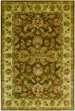 Nourison Jaipur JA23 Brown Area Rug main image