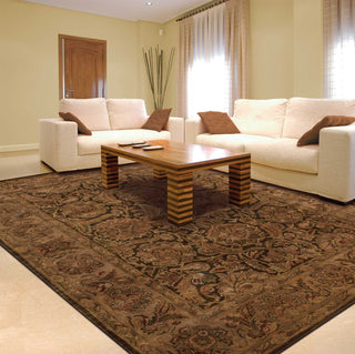 Nourison Jaipur JA30 Brown Area Rug Room Image Feature