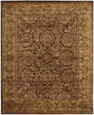 Nourison Jaipur JA30 Brown Area Rug Main Image