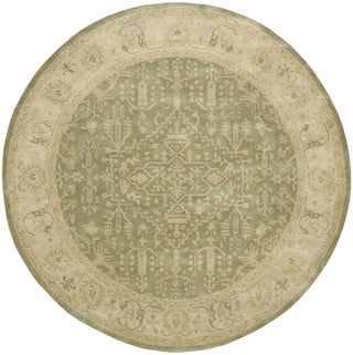 Nourison Jaipur JA44 Kiwi Area Rug main image