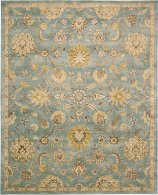 Nourison Jaipur JA53 Light Blue Area Rug Main Image