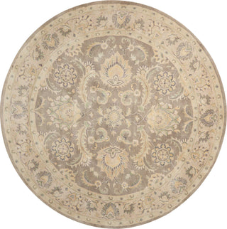 Nourison Jaipur JA56 Taupe Area Rug Main Image