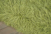 Nourison Studio KI900 Sunset Boulevard Shag Peridot Area Rug by Kathy Ireland 5' X 7'