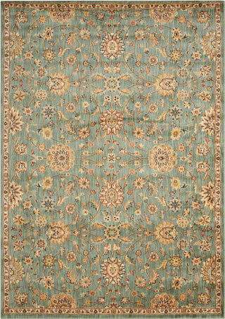 Nourison Ancient Times BAB05 Treasures Teal Area Rug