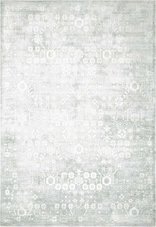 Nourison Ki26 Desert Skies DSK02 Silver/Green Area Rug by Kathy Ireland main image