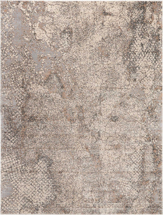 Nourison Ki35 Heritage KI352 Grey Area Rug by Kathy Ireland 8' X 10'5''