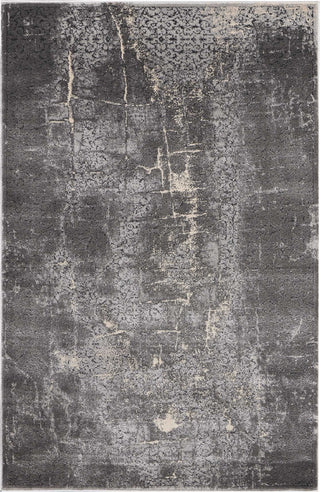 Nourison Ki35 Heritage KI353 Charcoal Area Rug by Kathy Ireland main image