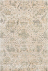 Lucent LCN05 Pearl Area Rug by Nourison main image