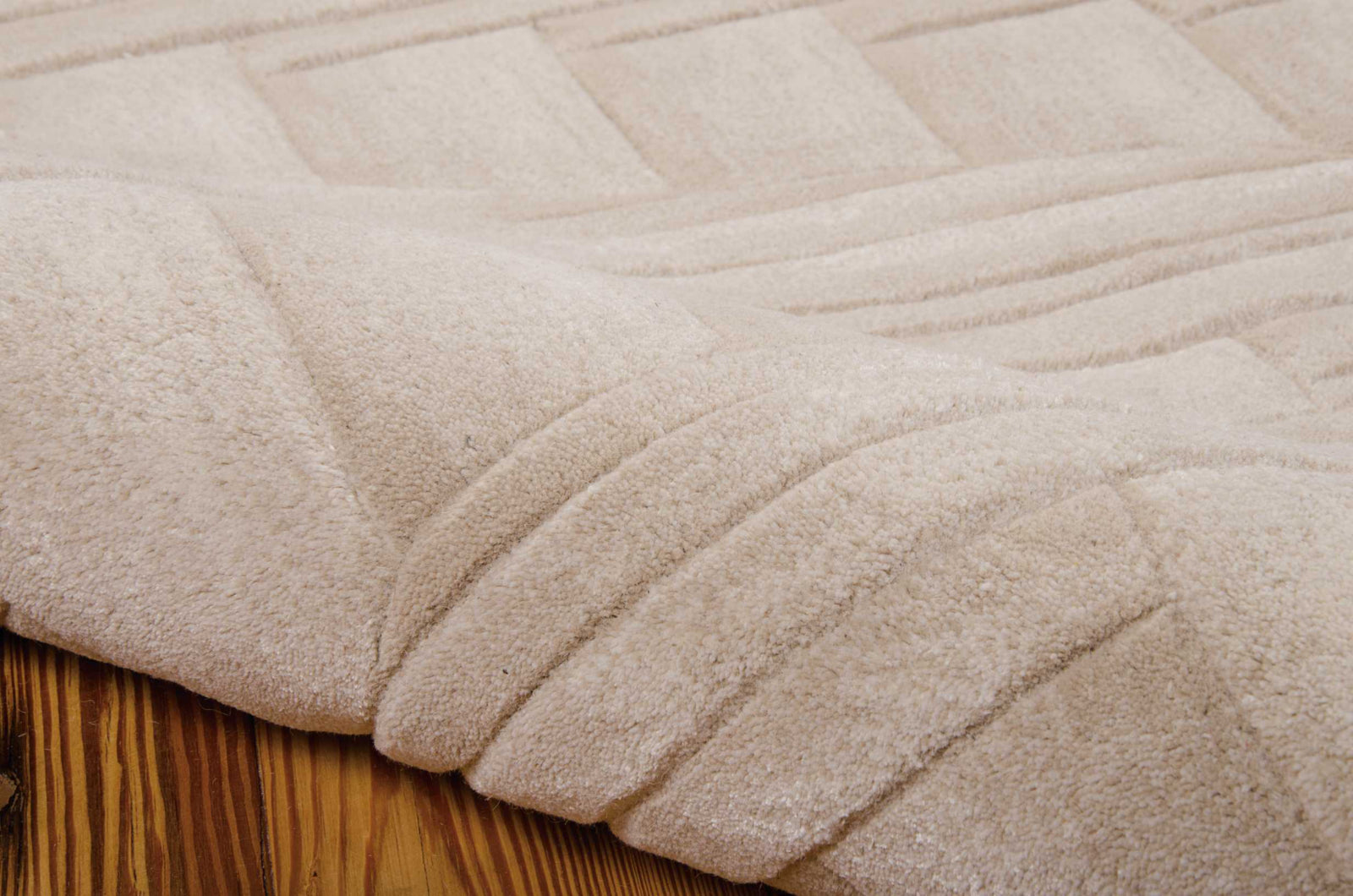 Nourison Moda MOD02 Shell Area Rug – Incredible Rugs and Decor