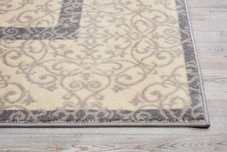 Nourison Nova NO117 Ivory Area Rug Detail Image