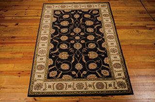 Nourison Paramount PAR09 Black Area Rug main image